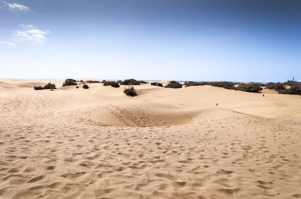 Dunas Costeras Playa Maspalomas Maspalomas Isla Gran Canaria Islas Canarias —  Fotos de Stock