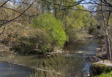 Kumarhaneyi orman Nehri'nde Manzanares, El Pardo, Madrid, İspanya
