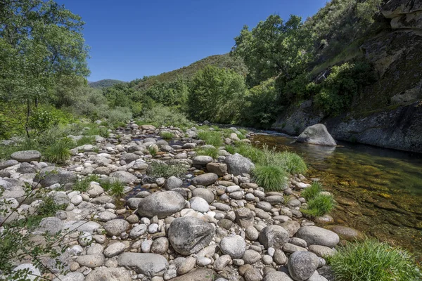 Vue Sur Ruisseau Minchones Dans Région Vera Caceres Estrémadure Espagne — Photo