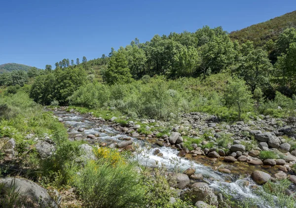 Views Minchones Stream Region Vera Caceres Extremadura Spain — Stock Photo, Image