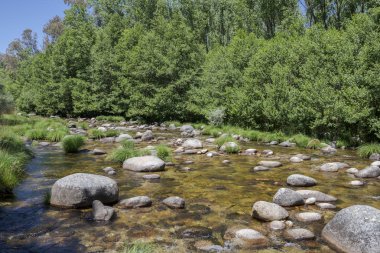 Minchones Stream La Vera, Caceres,: Extremadura, Spain bölge sayısı