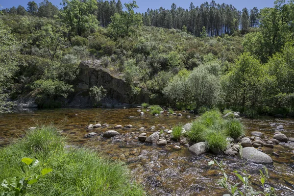 Vistas Córrego Minchones Região Vera Cáceres Extremadura Espanha — Fotografia de Stock