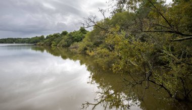 Etang Noir 'de hidromorfik topraklardaki ormanlar, Kara Gölet. Fransa 'nın Landes Bölümü' nde yer alan bir Doğal Rezerv.