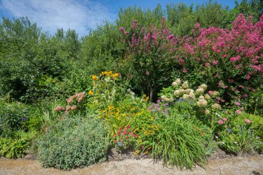 Mimizan 'daki La Promenade Fleurie, Flowering Gezinti Alanı, Fransa Landes Departmanı. 400 'den fazla çiçek ve çalıyla süslenmiş bir bahçe.