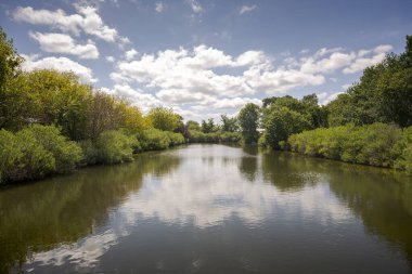 Teich Ornitoloji Rezervi 'nin manzarası, Arcachon Körfezi' nin yanında, Gironde Bölümü, Fransa