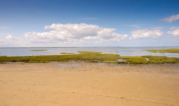 Views Arcachon Bay Lanton Gironde Department France — Stock Photo, Image