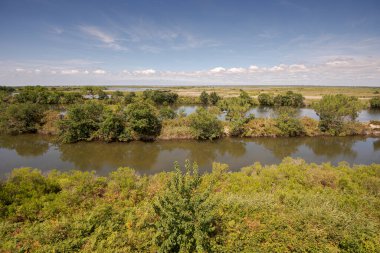 Teich Ornitoloji Rezervi 'nin manzarası, Arcachon Körfezi' nin yanında, Gironde Bölümü, Fransa