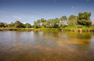 Teich Ornitoloji Rezervi 'nin manzarası, Arcachon Körfezi' nin yanında, Gironde Bölümü, Fransa