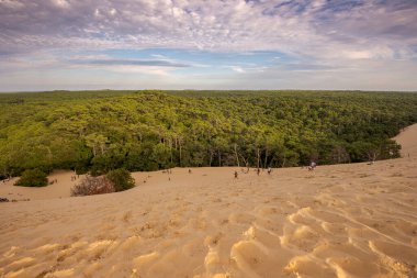 LA TESTE-DE-BUCH, FRANSA 12 AĞUSTOS 2017: Avrupa 'nın en uzun kum tepesi olan Pilat Kumulunun tepesindeki turistler