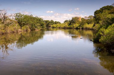 Teich Ornitoloji Rezervi 'nin manzarası, Arcachon Körfezi' nin yanında, Gironde Bölümü, Fransa