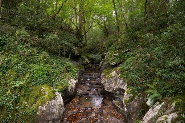 Views of the Arotzarena stream, a small course of water in the Municipality of Zugarramurdi, Navarre, Spain