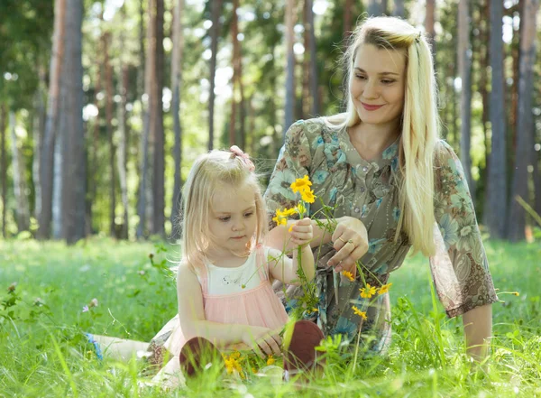 Aranyos Kislány Virágok Szedés Egy Nyári Parkban Terhes Fiatal Anya — Stock Fotó