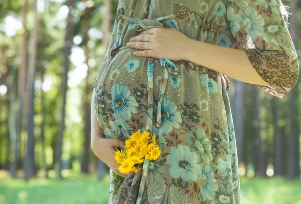 夏の公園で認識できない妊娠中の若い女性 — ストック写真