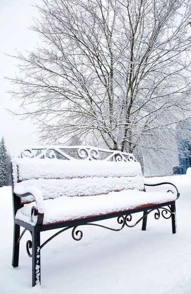Closeup Bench Covered Snow Winter Park — Stock Photo, Image