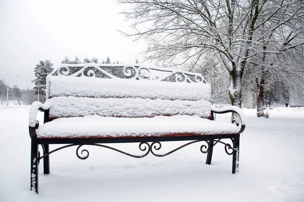 Closeup Bench Covered Snow Winter Park — Stock Photo, Image