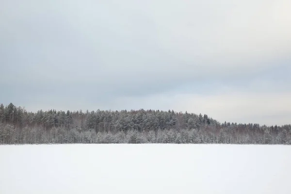 Paysage Rural Champ Couvert Neige Forêt Dans Fond — Photo