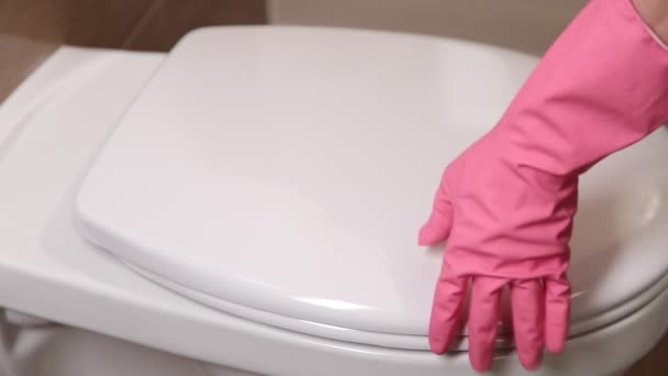 Cropped View Woman Cleaning Toilet Rag — Stock Video