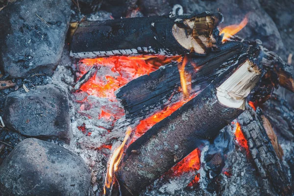 Kamp Yerde Açık Havada Şenlik Ateşi Yakın Çekim — Stok fotoğraf