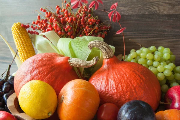 Осенний урожай: много свежих фруктов и овощей — стоковое фото