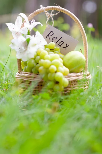 Cesta de picnic con uvas, manzanas, concepto de relajación — Foto de Stock