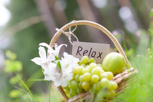 Cesta de picnic con uvas, manzanas, concepto de relajación — Foto de Stock