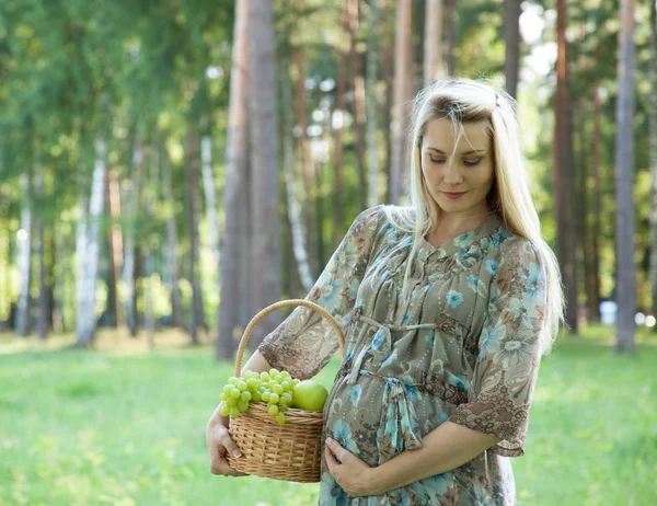 Hermosa Joven Embarazada Caminando Parque Verano Con Cesta Llena Frutas — Foto de Stock