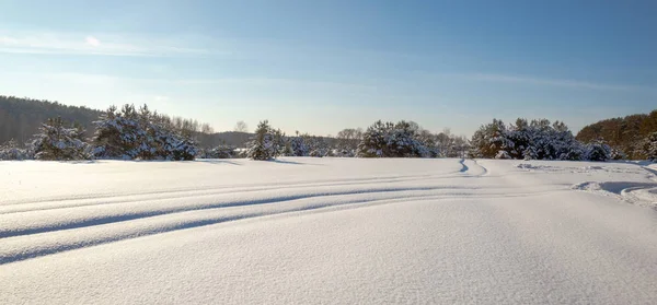Winter zonnige boslandschap — Stockfoto
