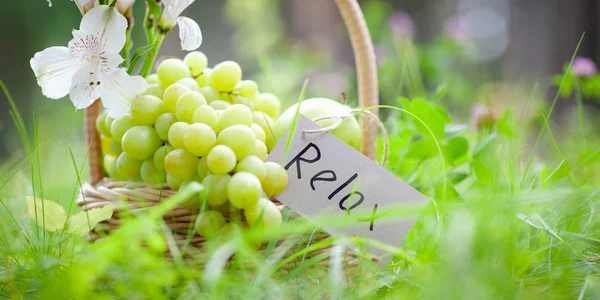 Cesta Picnic Con Uvas Manzanas Concepto Relajación — Foto de Stock