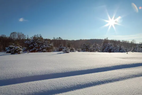 雪の木と冬の風景 — ストック写真