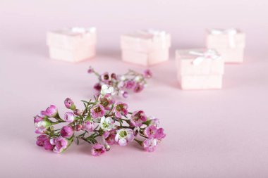 Güzel hediye kompozisyon