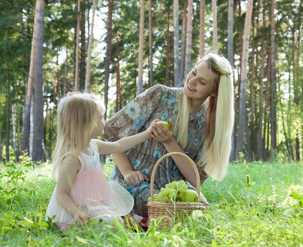 Pregnant Young Mother Cute Little Daughter Enjoying Picnic Summer Park — Stock Photo, Image