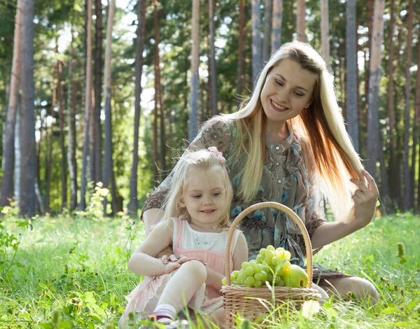 Pregnant Young Mother Cute Little Daughter Enjoying Picnic Summer Park — Stock Photo, Image