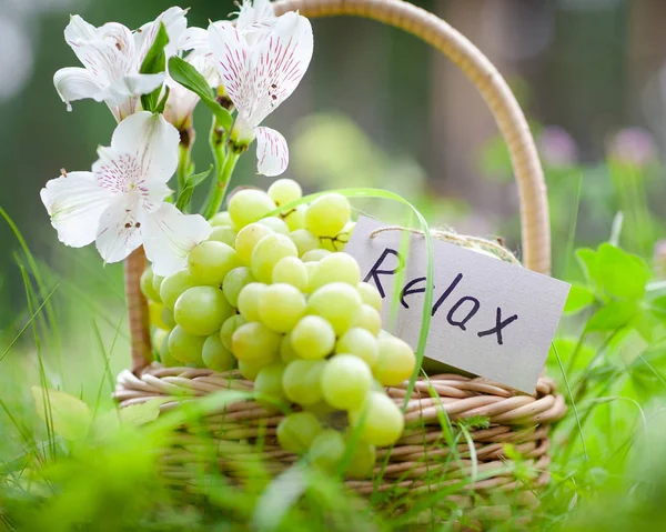 Cesta de picnic con uvas, manzanas, concepto de relajación — Foto de Stock