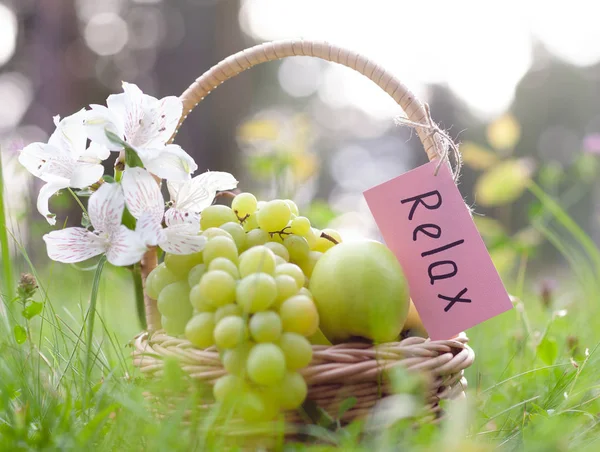 Cesta de picnic con uvas, manzanas, concepto de relajación — Foto de Stock