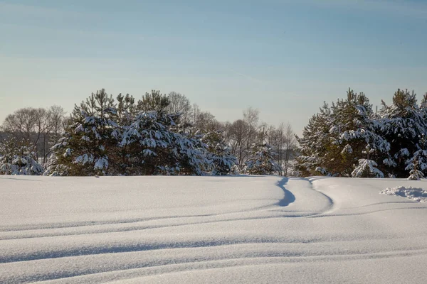 Winterlandschap Met Besneeuwde Bomen — Stockfoto