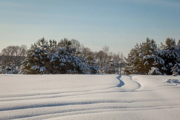 Winterlandschaft Mit Schneebedeckten Bäumen — Stockfoto