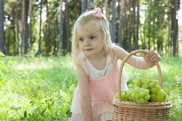 Милая Маленькая Девочка Розовом Платье Корзиной Полной Свежего Винограда Яблок — стоковое фото