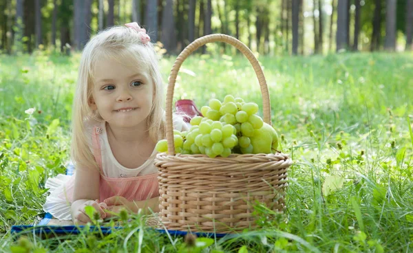 Sommerpicknick Freien Nettes Lächelndes Kleines Mädchen Rosa Kleid Mit Korb — Stockfoto