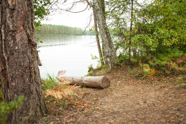 Paisaje Otoñal Orilla Del Lago Forestal —  Fotos de Stock