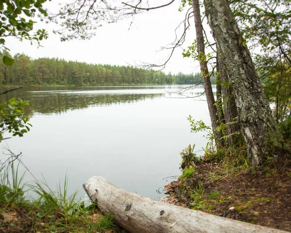 Paisaje Otoñal Orilla Del Lago Forestal —  Fotos de Stock