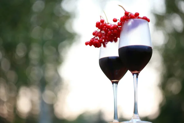 Detailní záběr na 2 sklenice vína s partou viburnum bobulí — Stock fotografie
