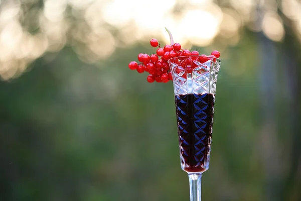 İki kadeh şarap ve viburum üzümünün yakın plan çekimi. — Stok fotoğraf