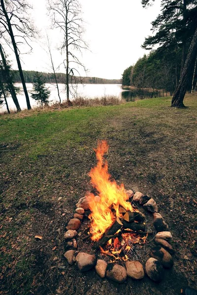 Parlak kamp ateşi doğada — Stok fotoğraf