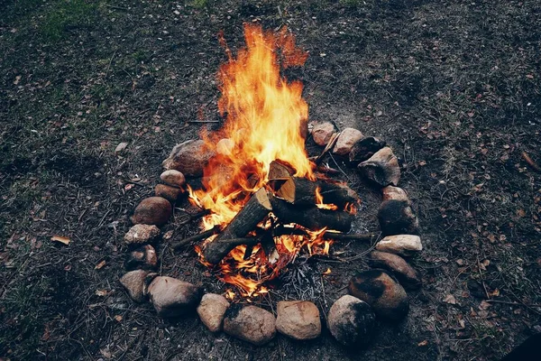 Bright campfire in the nature — Stock Photo, Image