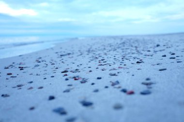 Küçük çakıl kum plajındaki. Beach Amber. Kaliningrad bölgesi. Rusya.