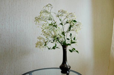 Akasma çiçek bir cam masa üzerinde dar bir vazoda