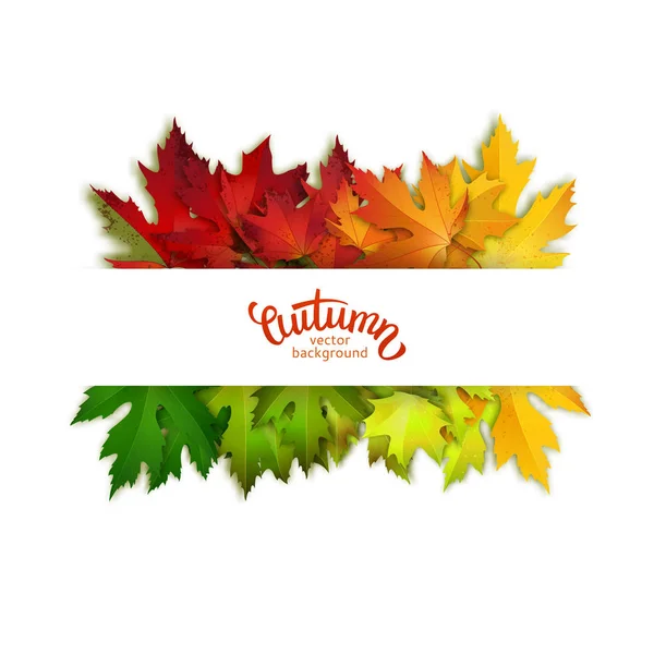 Hösten Banner Med Färgglada Lönn Löv Vektorillustration — Stock vektor