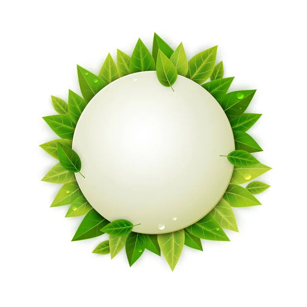 Στρογγυλή Πανό Πράσινα Φύλλα Ρεαλιστική Διανυσματικά Εικονογράφηση — Διανυσματικό Αρχείο