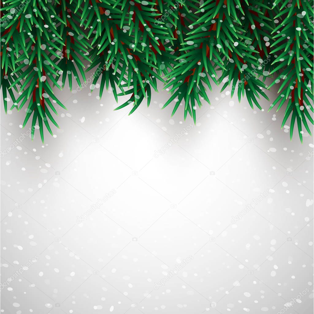 Christmas tree branches background, fir, pine, vector illustration