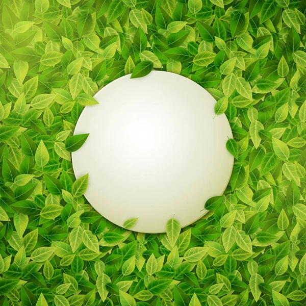 緑の葉の背景に円形のバナー — ストックベクタ